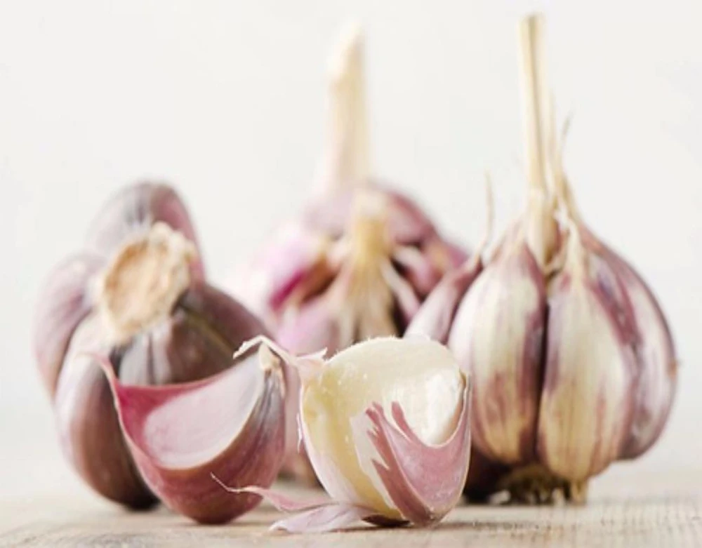 tỏi chữa viêm họng