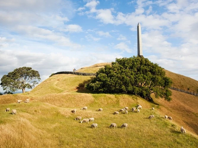 Sài Gòn lọt tốp địa điểm tốt nhất khi du lịch một mình ảnh 7