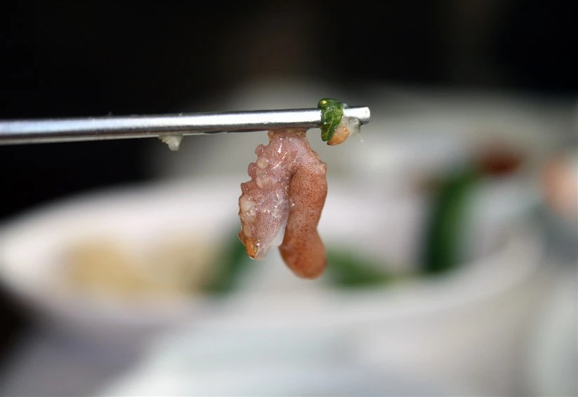 Những đặc sản gây tranh cãi nhất thế giới ảnh 4