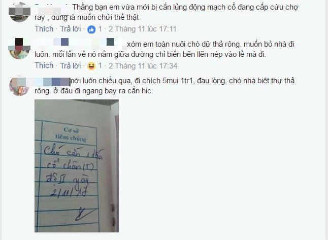 Ngay lập tức bạn bè anh đã có phản hồi bằng nhân chứng vật chứng về những hậu quả mà chính mình hay người thân, bạn bè mình lãnh đủ vì những con chó chạy rông. Ảnh chụp màn hình FB 