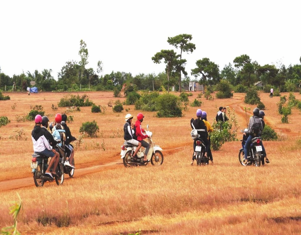 Khách du lịch khắp nơi đến ngắm đồi cỏ hồng 