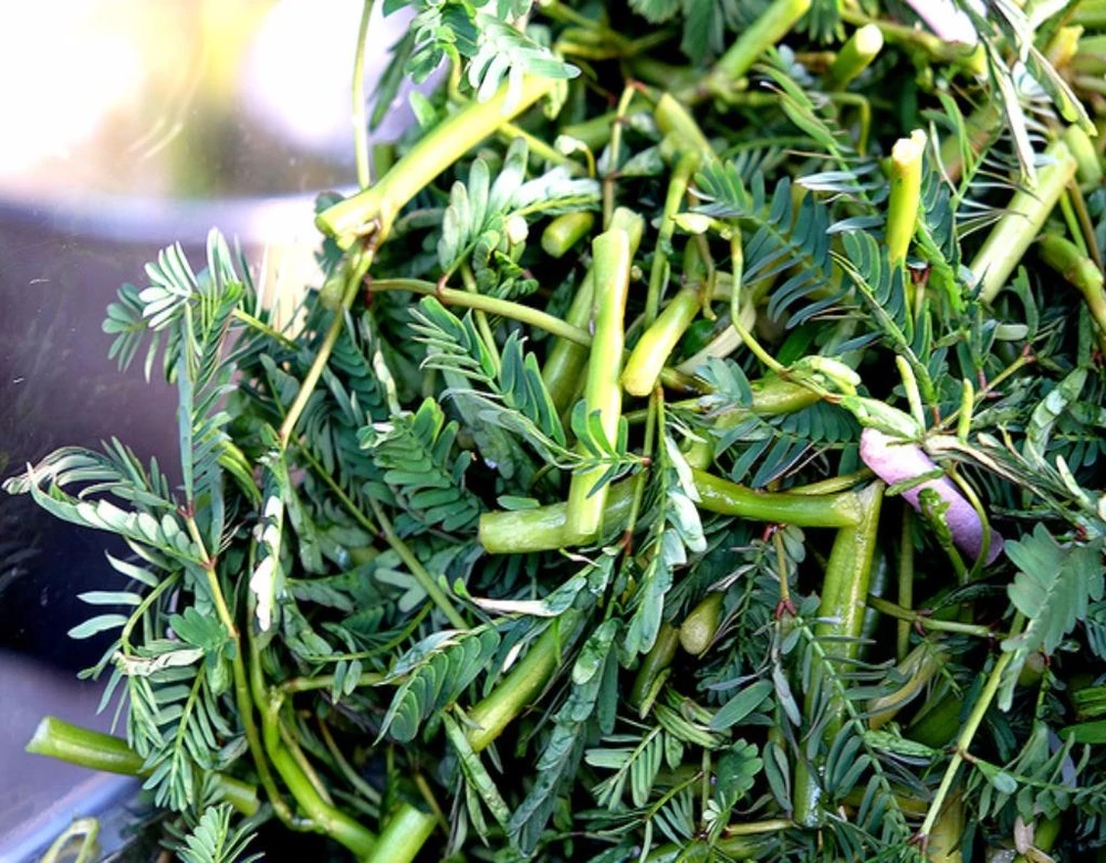 Rau là nguyên liệu làm nên tô bún cá Châu Đốc.