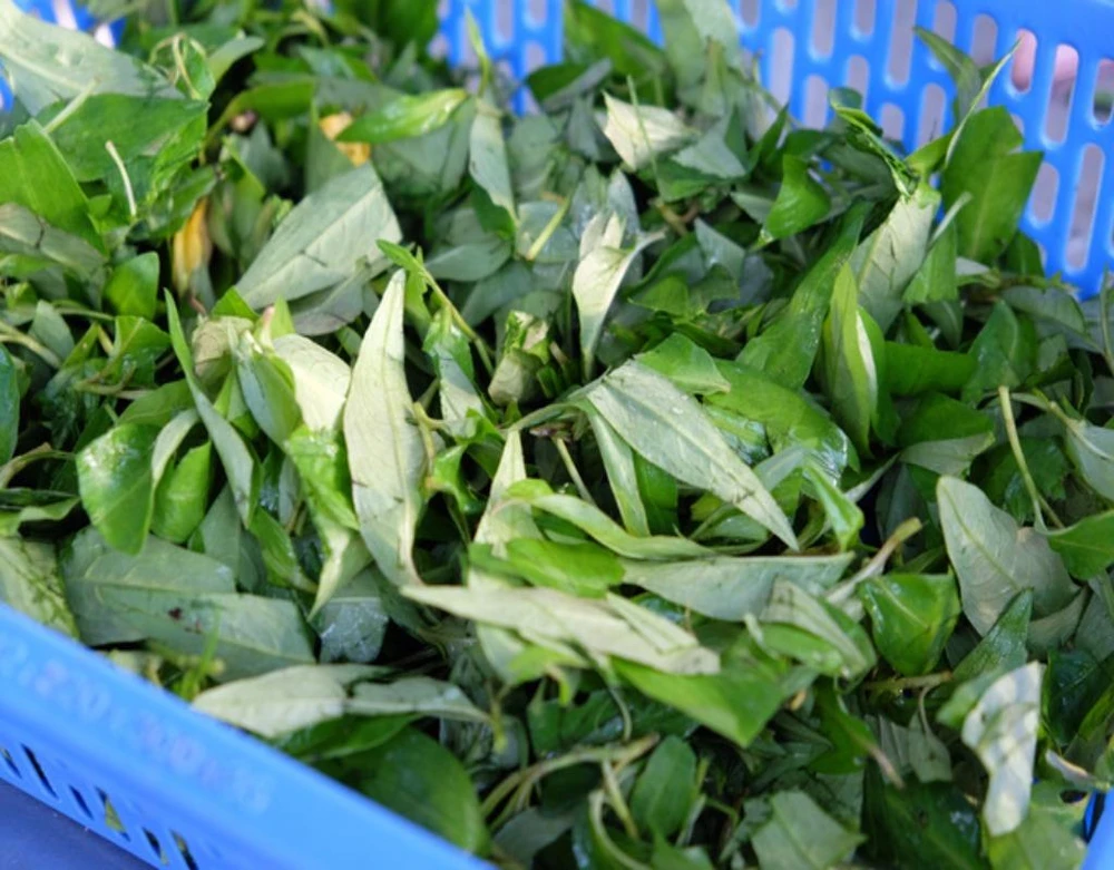 Rau răm cũng không thể thiếu