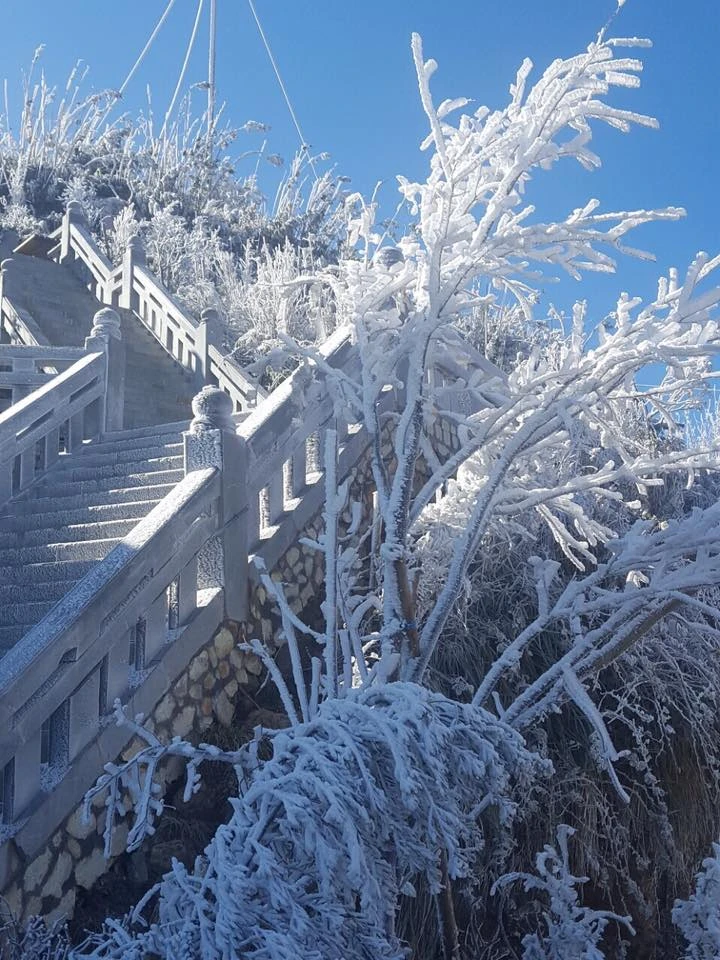 Ngắm băng tuyết phủ trắng đỉnh Fansipan ảnh 14