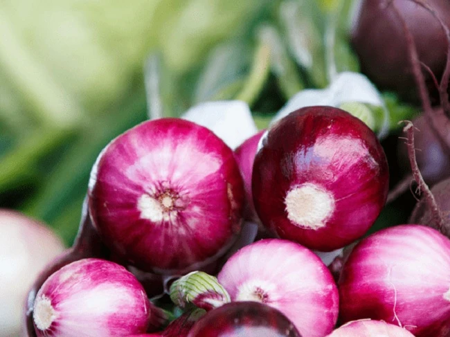 Hành tím rất giàu chất chống oxy hóa giúp ngăn ngừa sỏi thận 