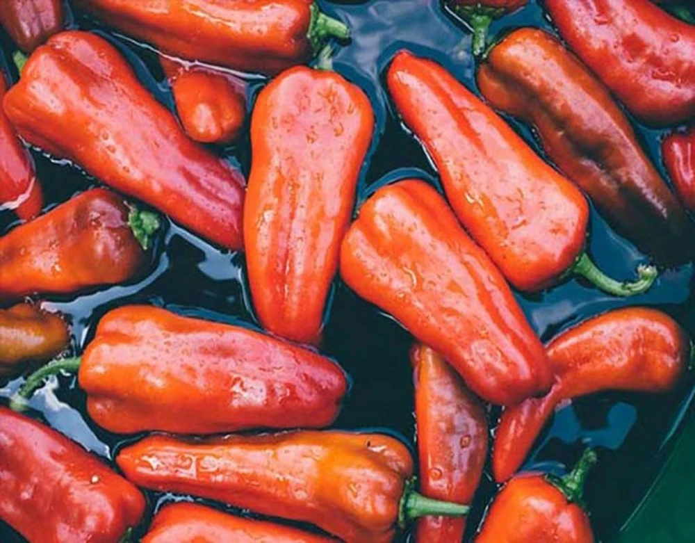  ớt có thể làm trầm trọng thêm tình trạng cũng như gây kích ứng lớp lót của ruột