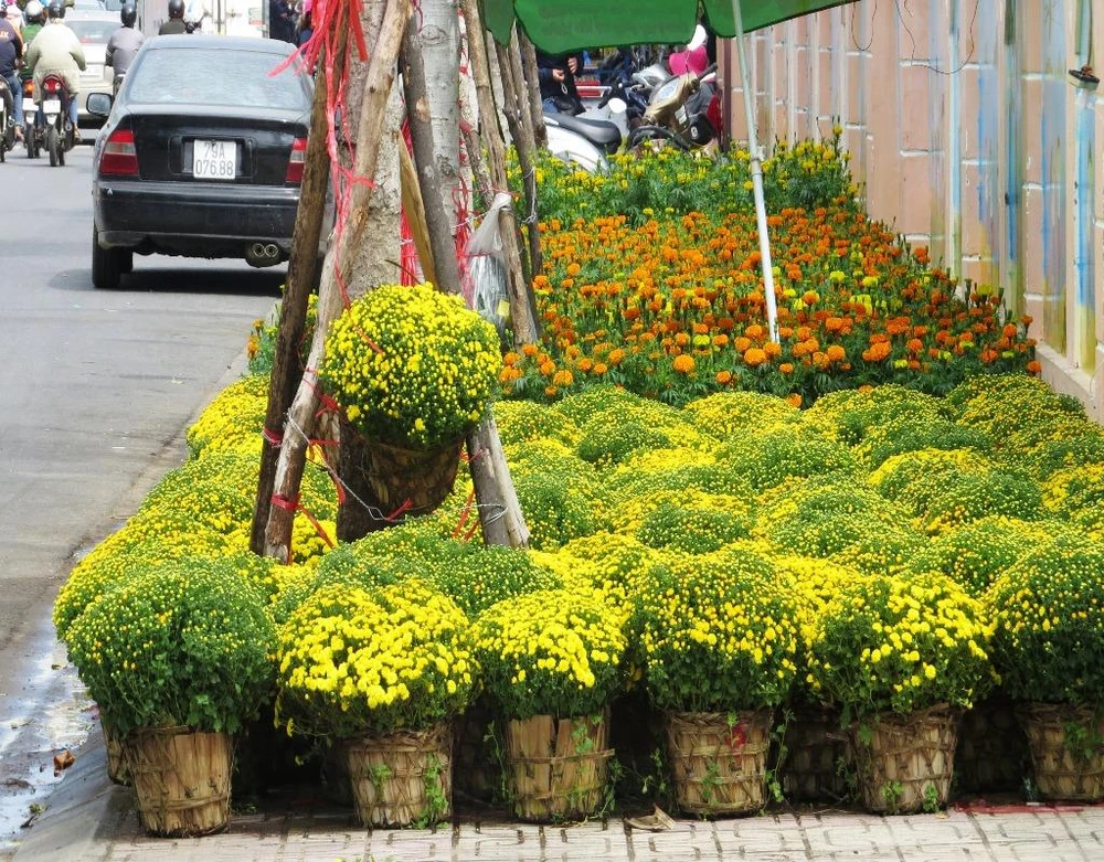 Chợ Tết nên không thể thiếu những loại hoa quen thuộc như bông vạn thọ, cúc mâm xôi.