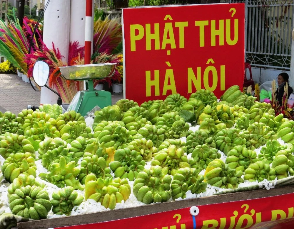 Cạnh đó là hàng bán những trái phật thủ chưng bàn thờ dịp Tết.