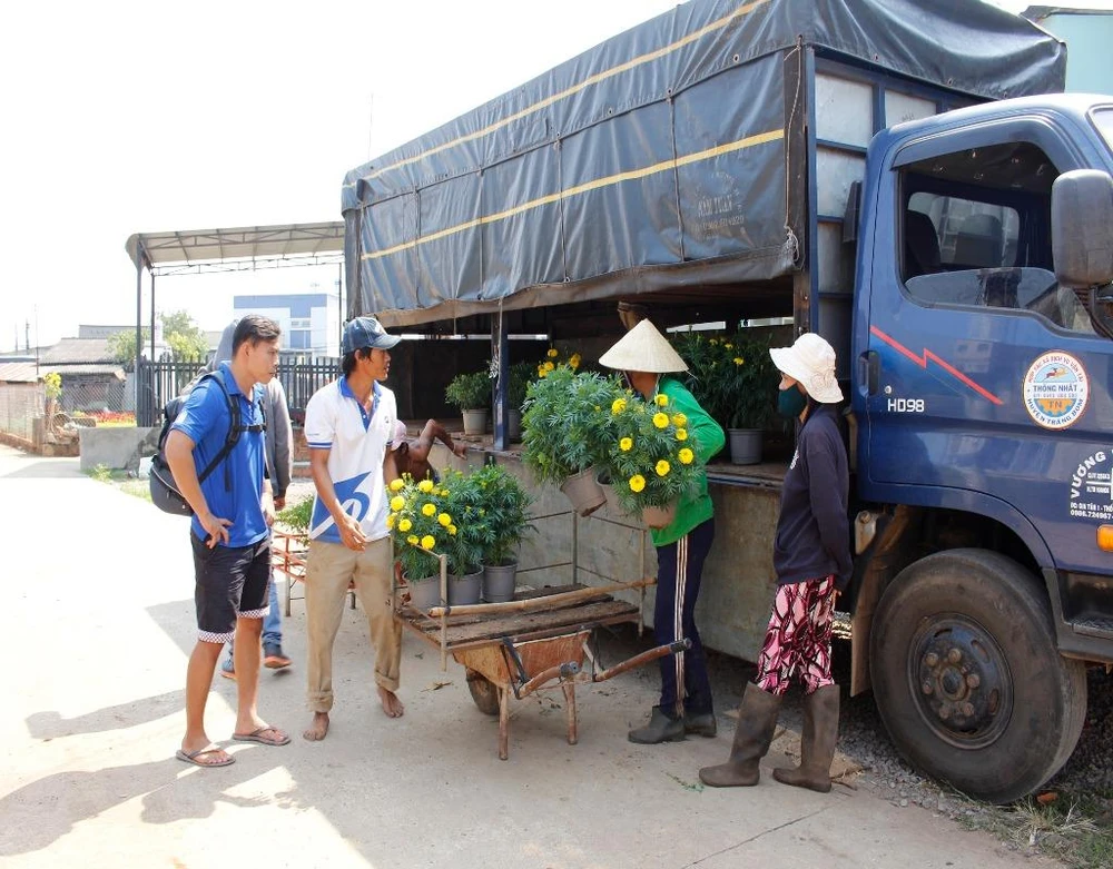 Nông dân đang tất bật vận chuyển hoa kịp giao cho các thương lái.