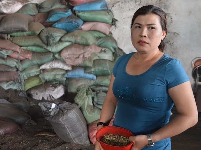 Khởi tố, bắt tạm giam 5 bị can vụ ‘cà phê pin’ ở Đắk Nông ảnh 2