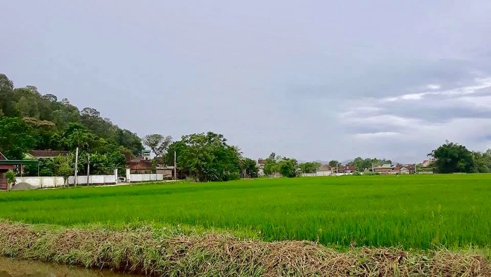 Ngôi làng có 99 con vịt trời luôn ghé thăm vào tháng 9 ảnh 2