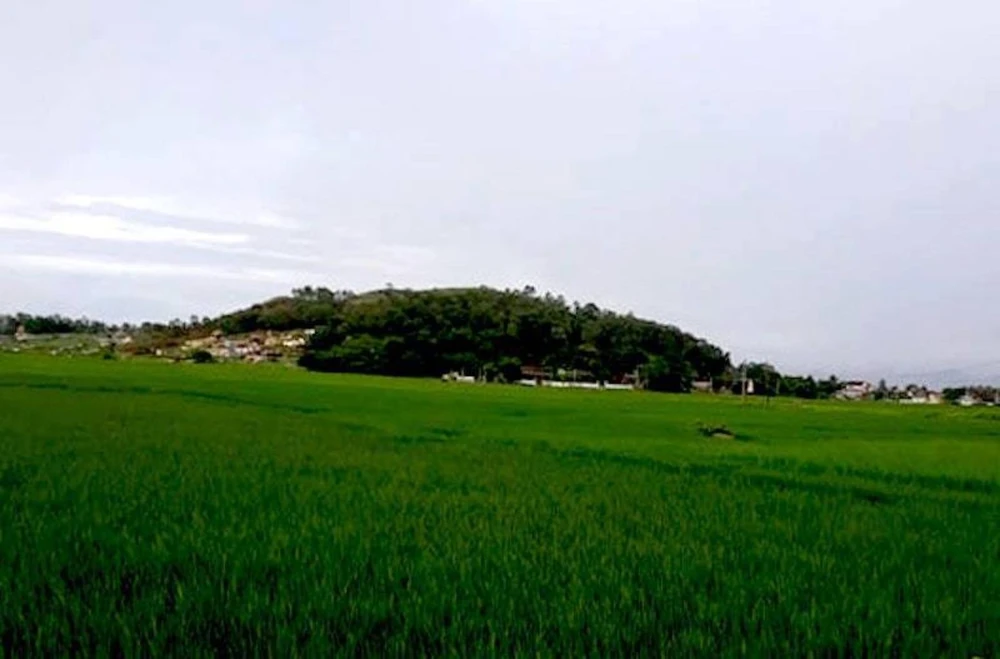 Ngôi làng có 99 con vịt trời luôn ghé thăm vào tháng 9 ảnh 1