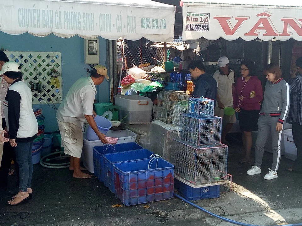 Đi chùa phóng sinh vì sợ... trượt tốt nghiệp ảnh 3