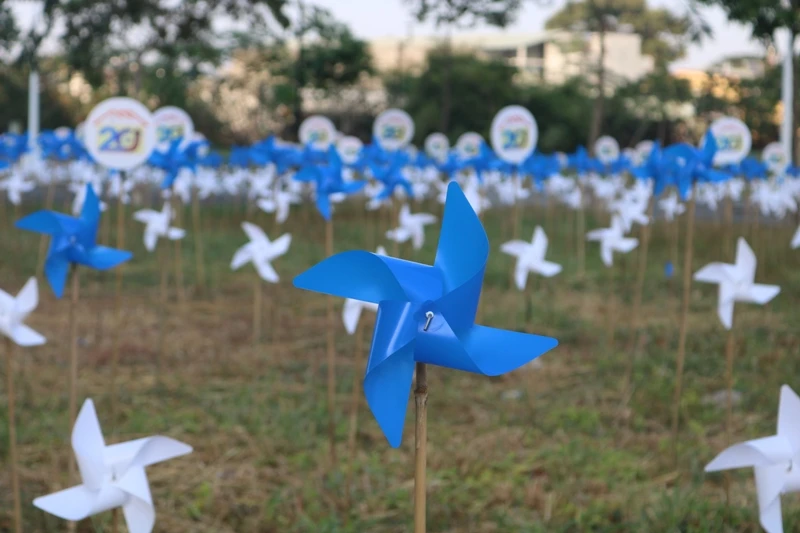 Độc đáo khu vườn chong chóng hơn 5.000 chiếc ở làng đại học ảnh 6