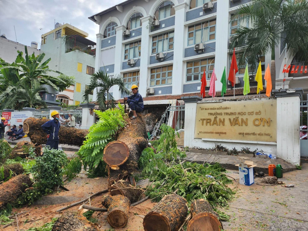 Nhân viên Công ty TNHH MTV Công viên cây xanh TP.HCM đang dọn dẹp tại hiện trường. Ảnh: NGUYỄN QUYÊN