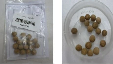 Chất cấm phenformin có chứa trong viên điều trị tiểu đường