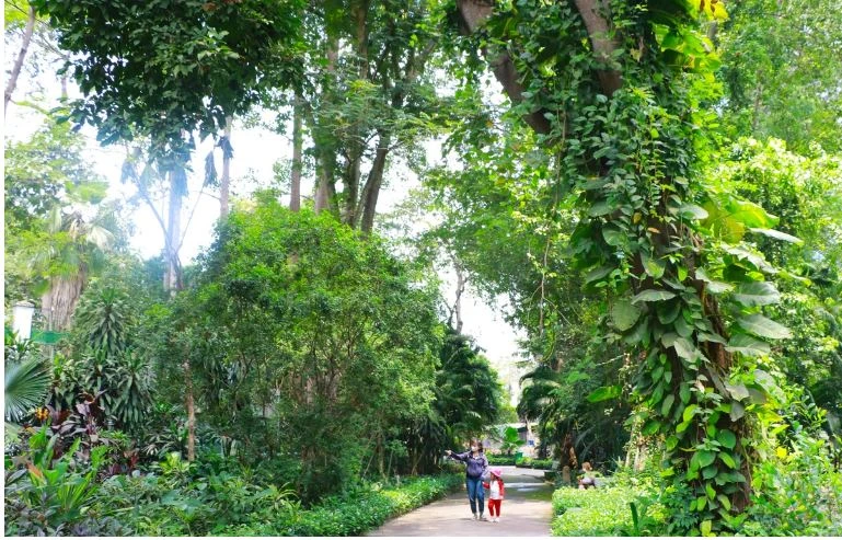 thao cam vien sai gon.JPG