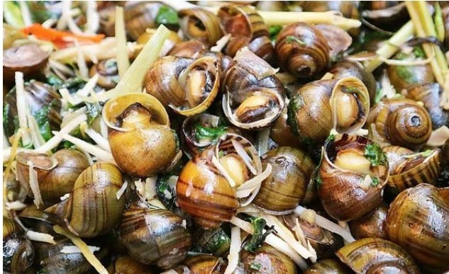 Người bị bệnh gút có thể ăn ốc