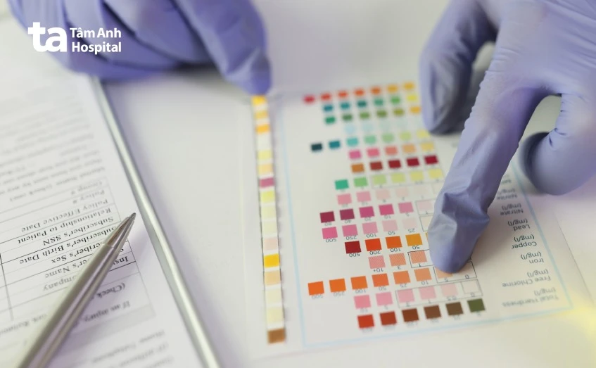 Nước tiểu màu hồng là biểu hiện của tình trạng trong nước tiểu có máu hay hồng cầu