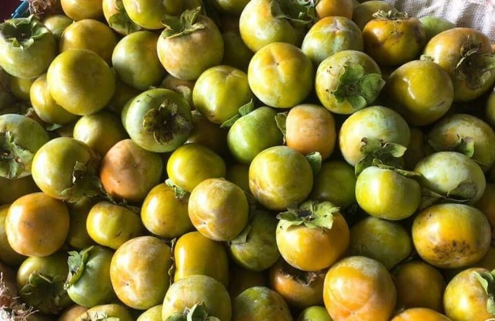 ăn hồng giòn bị tắc ruột