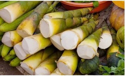 đau nhức xương khớp không nên ăn măng