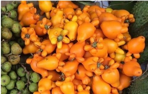 Trái dư có độc, rất nguy hiểm nếu ăn phải