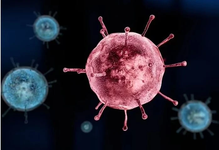 dịch cúm mùa tại Nhật bản