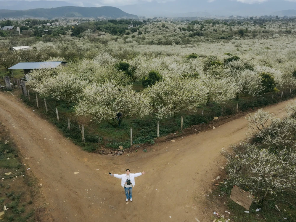 hoa man moc chau.jpg