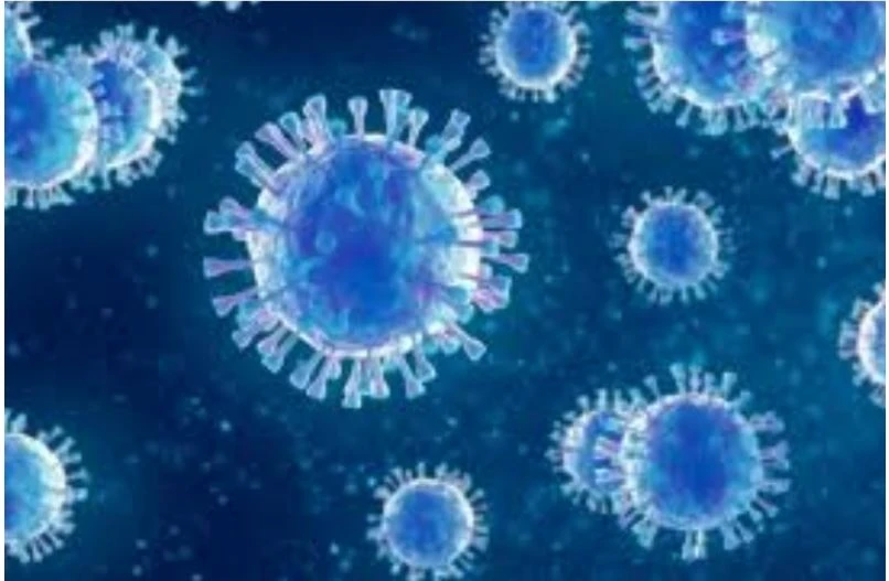 bien the NB.1.8.1.JPG