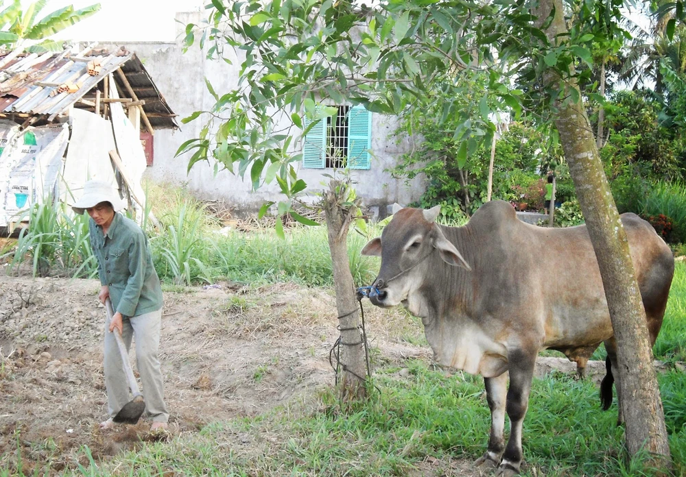 Không nên đối xử với LS Võ An Đôn như vậy ảnh 3 Không nên đối xử với LS Võ An Đôn như vậy ảnh 3