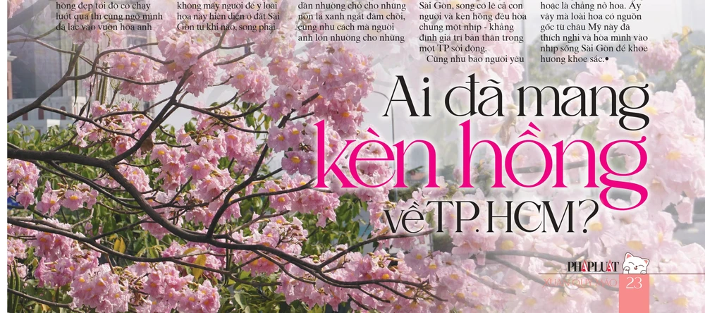 Mời bạn đón đọc ấn phẩm Xuân Pháp Luật TP.HCM năm Quý Mão 2023 ảnh 6