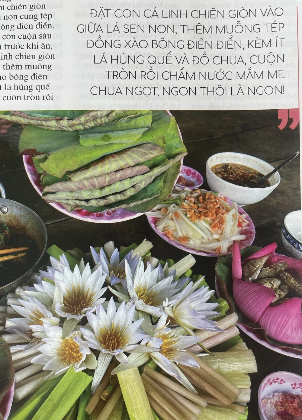 Nhà báo ĐỖ NGỌC - người chuyên khám phá những tour du lịch độc - đẹp - lạ sẽ kể cho chúng ta nghe về "Lộc trời mùa nước nổi" Nhà báo ĐỖ NGỌC - người chuyên khám phá những tour du lịch độc - đẹp - lạ sẽ kể cho chúng ta nghe về "Lộc trời mùa nước nổi"