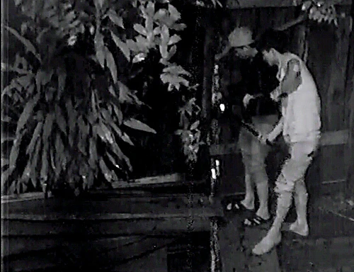 Camera ghi hình 4 thanh niên lái ô tô đi ăn trộm gỗ trong đêm ảnh 3