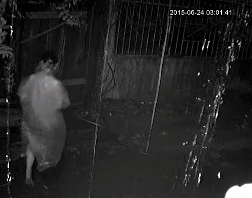 Camera ghi hình 4 thanh niên lái ô tô đi ăn trộm gỗ trong đêm ảnh 4