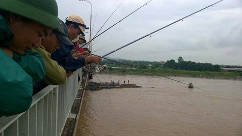 Đổ xô đi câu hàng trăm tấn cá bị sổng trên sông Kinh Thầy ảnh 2 Đổ xô đi câu hàng trăm tấn cá bị sổng trên sông Kinh Thầy ảnh 2