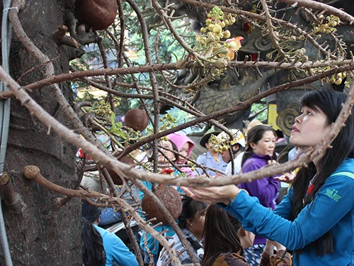 Nhiều người đến chùa dịp rằm tháng bảy ảnh 4