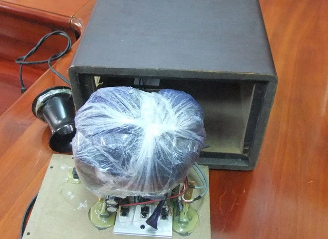 Nằm viện tâm thần vẫn điều hành buôn ma túy ảnh 2