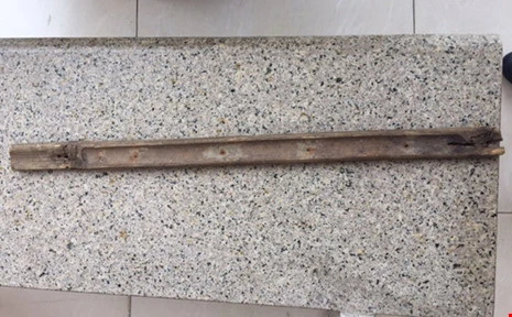 Người mẹ đánh con tử vong bị bắt giam ảnh 1