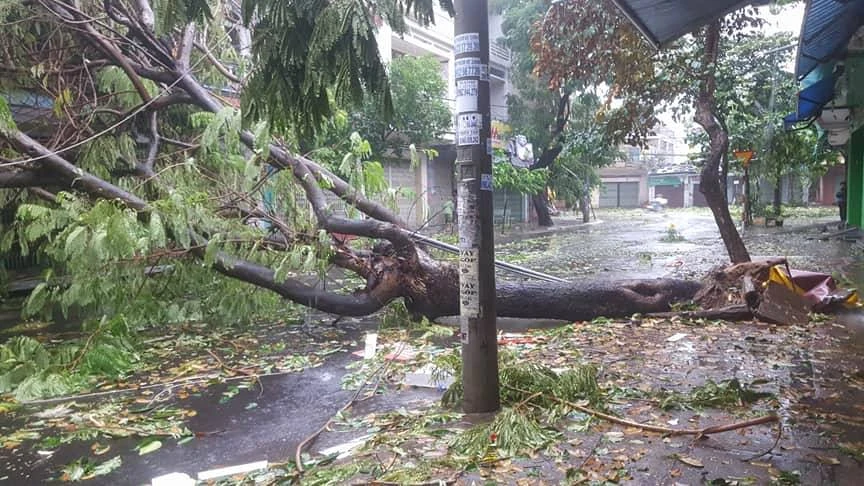 Bão 12 làm 37 người chết, mất tích, hỏng gần 24.000 nhà ảnh 21