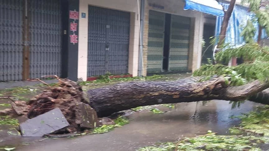 Bão 12 làm 37 người chết, mất tích, hỏng gần 24.000 nhà ảnh 16