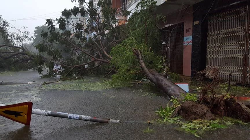 Bão 12 làm 37 người chết, mất tích, hỏng gần 24.000 nhà ảnh 18