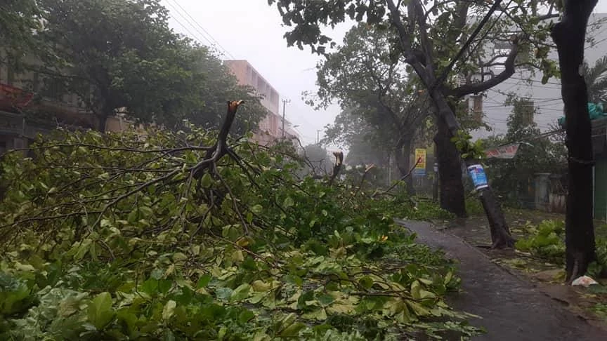 Bão 12 làm 37 người chết, mất tích, hỏng gần 24.000 nhà ảnh 20