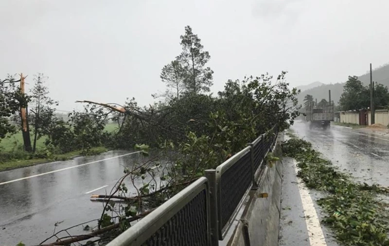 Một số hình ảnh ở Nha Trang bị bão số 12 tàn phá - ảnh 6