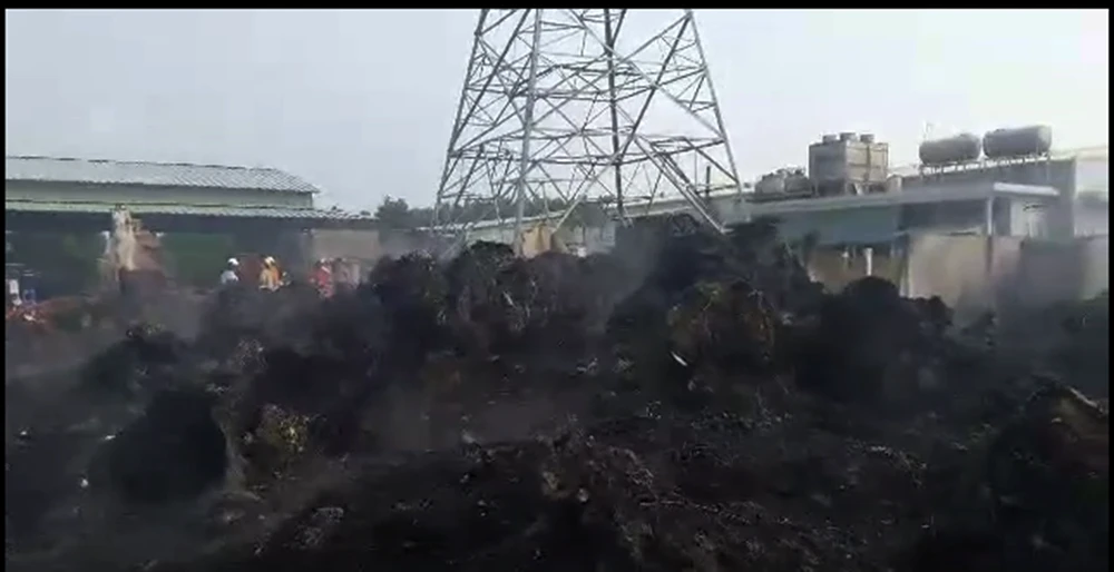 Đám cháy trùm lên lưới cao thế, toàn Vũng Tàu mất điện ảnh 4