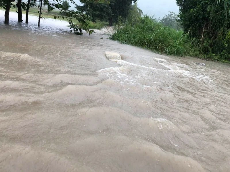 Bão số 12 đã gây thiệt hại tại Phú Yên, Khánh Hòa ảnh 11