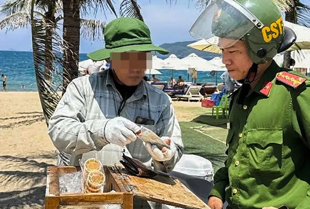 cay-kem-nha-trang.jpg