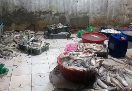 Bên trong một cơ sở hồi sinh mực thối ở Hà Nội