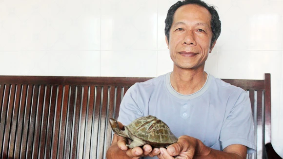 đào-vàng, tỷ-phú, ngôi-làng, bí-ẩn, Giao-Thịnh, Nam-Định, làm-giàu