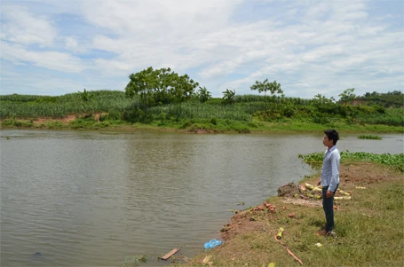 Anh Tình chỉ vị trí xảy ra tai nạn