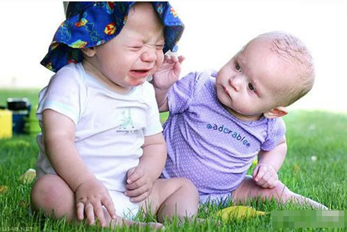 dạy con, chăm con